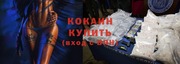 мдпв Каменка