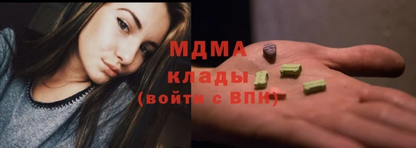 мдпв Каменка