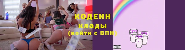мдпв Каменка