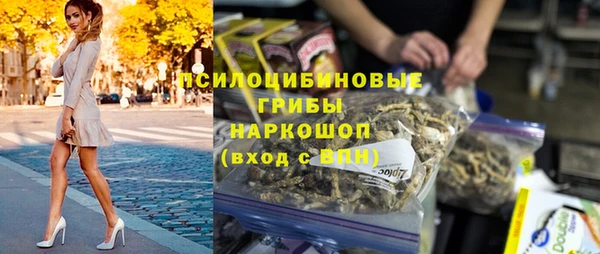 мдпв Каменка
