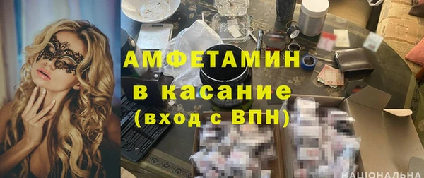 мдпв Каменка