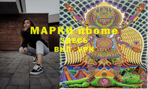 мдпв Каменка