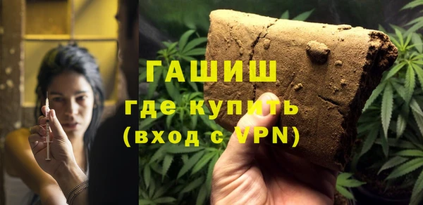 мдпв Каменка
